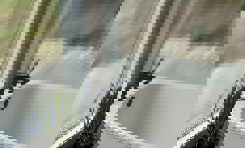 C21c0267 3Eb7 4E45 A241 5B6c466ab8b8