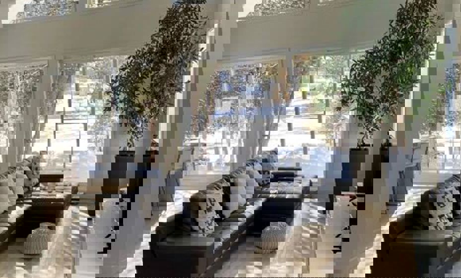 152552010 3665755000157661 8584317143218206352 N