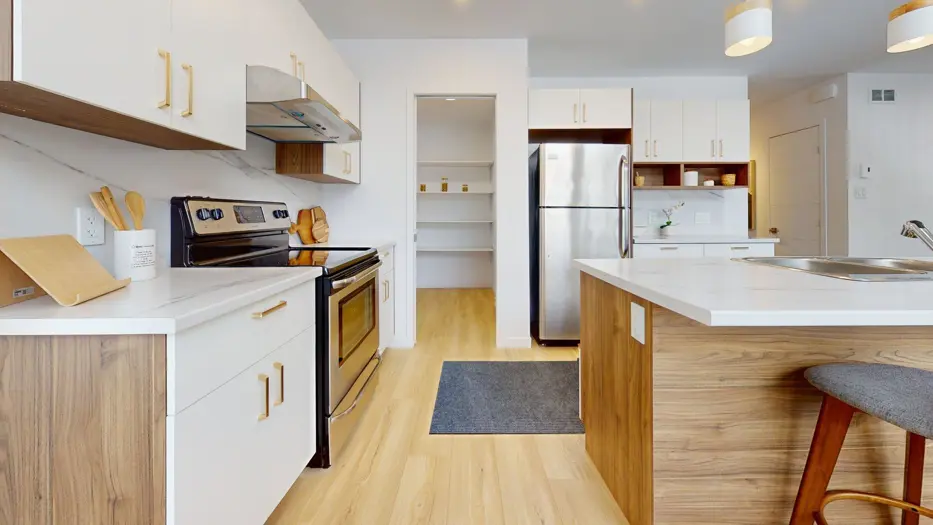 Modele Alta Kitchen 1