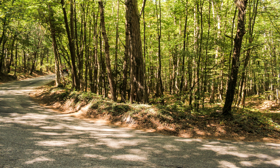 Maisons.Usinée.Cote.Antoine Mantha.Terrain.Paysage