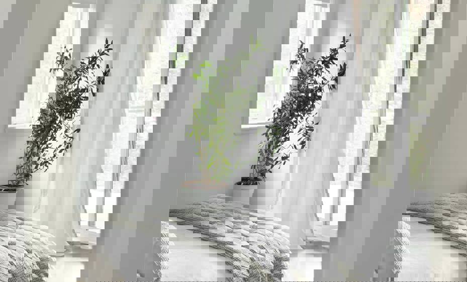 Daa74ab2 E544 419F 914A 9Bb7eb7cca4d