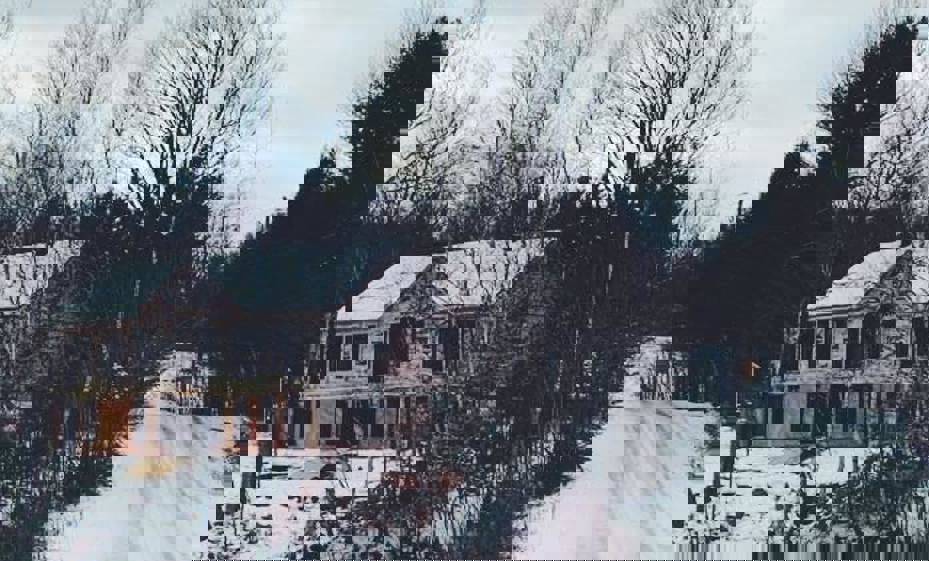78287694 561022941139931 4821374224557932544 N
